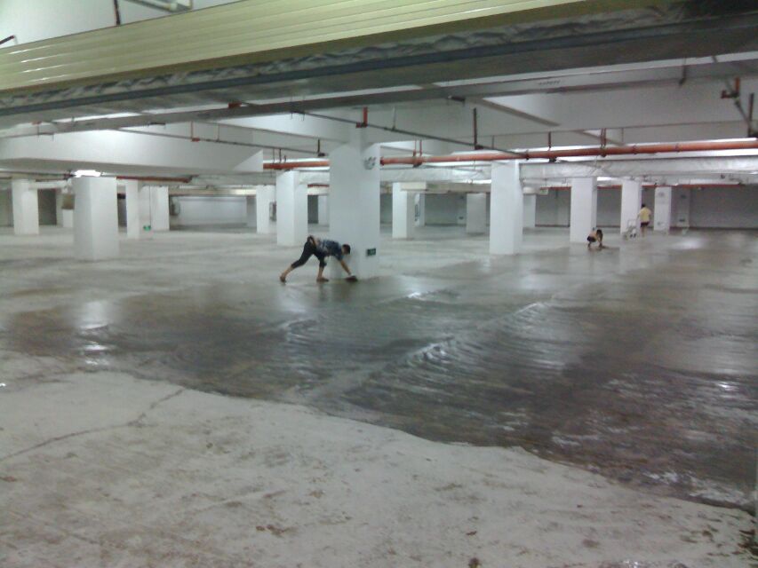 20131102100753_3058.jpg