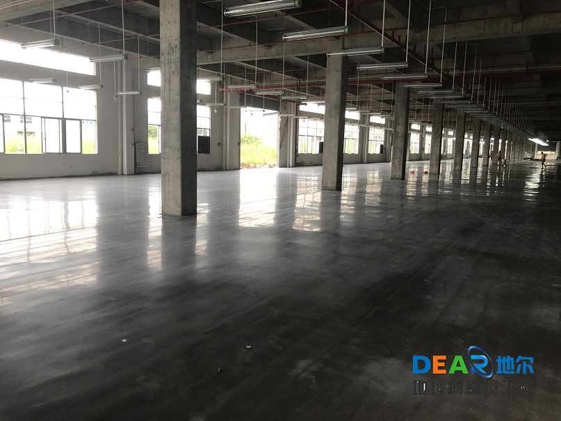 IMG_2031.JPG